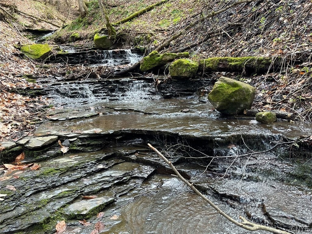 Brown Rd, Frankfort, NY 13340 #1