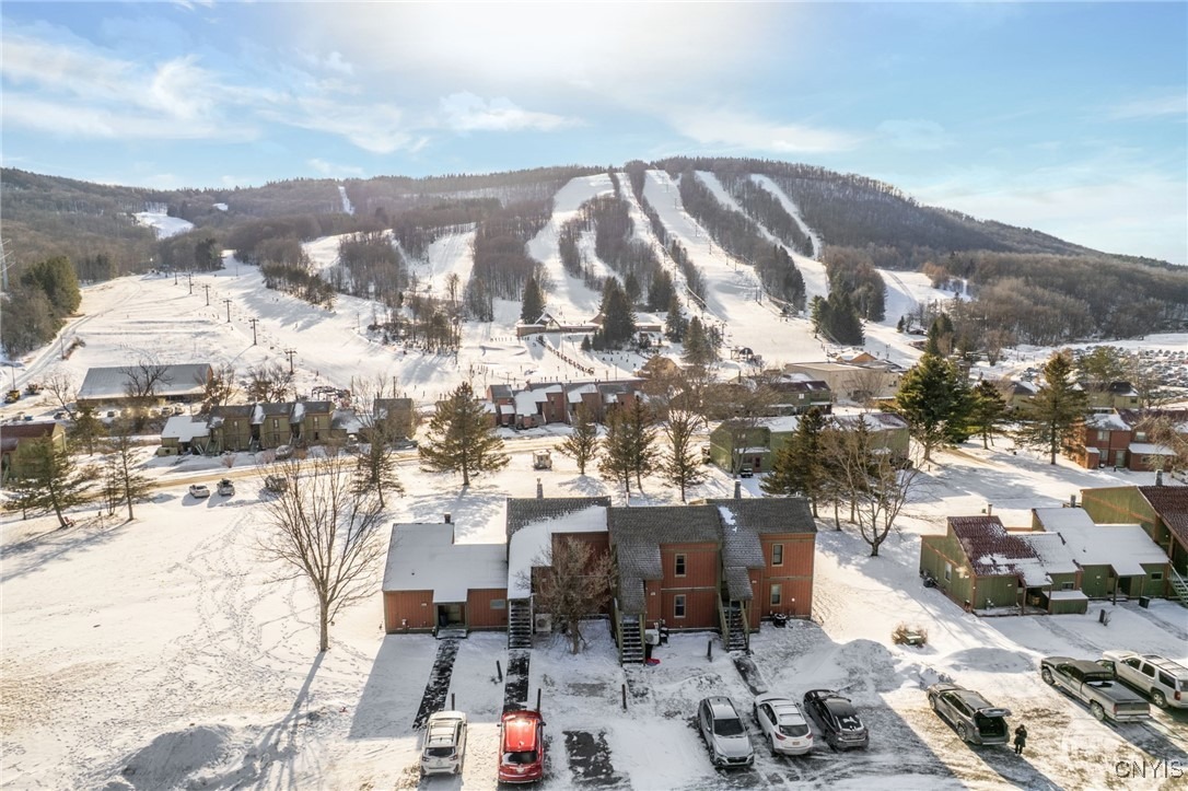 Alpha Cir, Cortland, NY 13045 #1