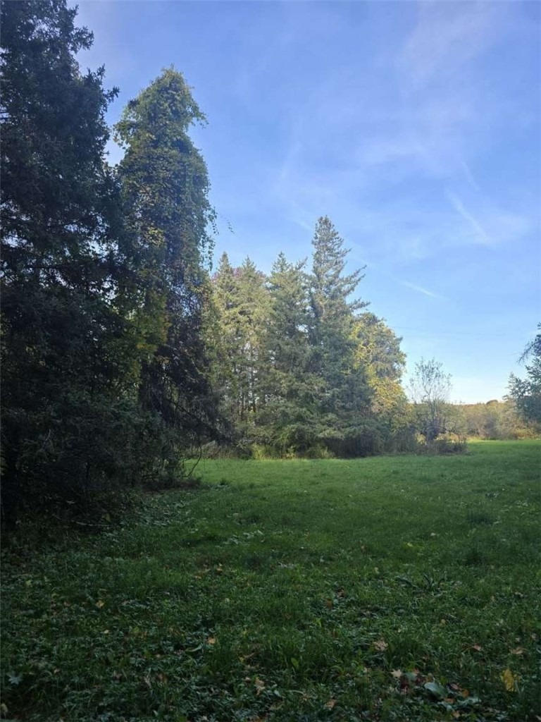 Chestnut Ridge Rd, Cherry Valley, NY 13320