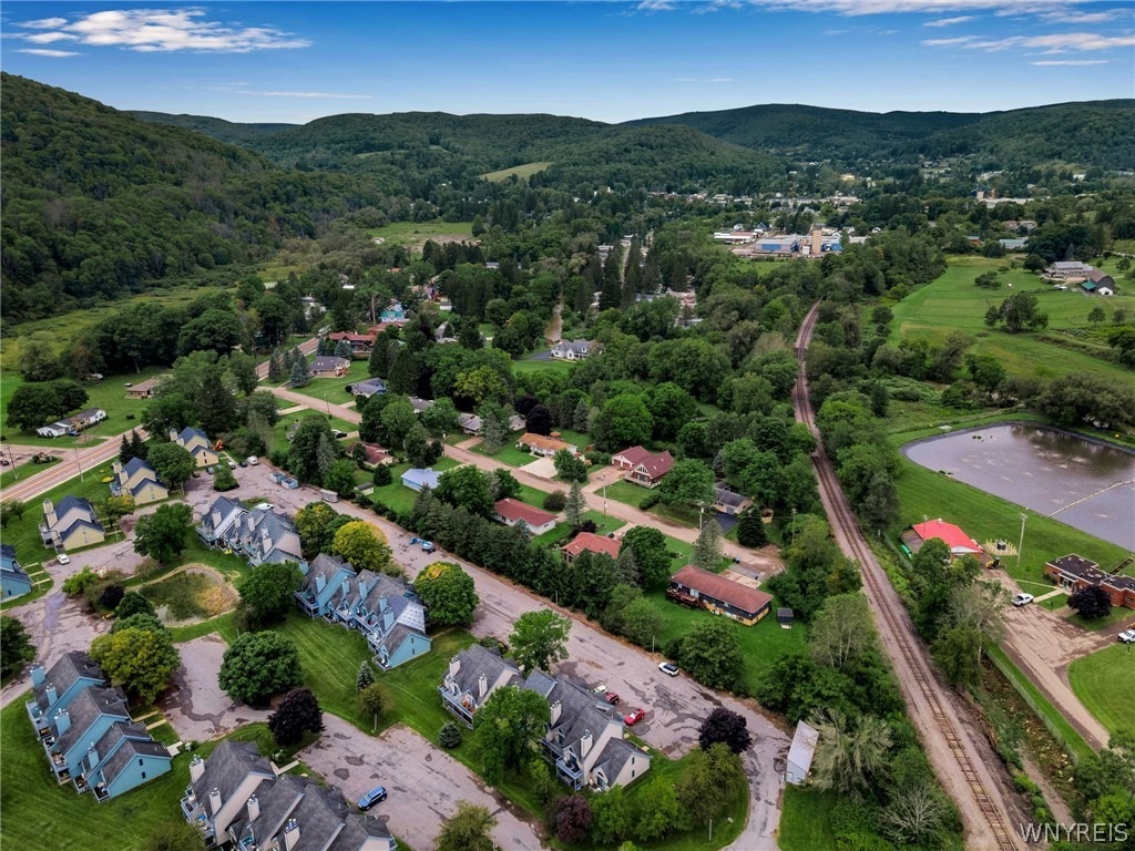 Wildflower , Ellicottville, NY 14731 #1