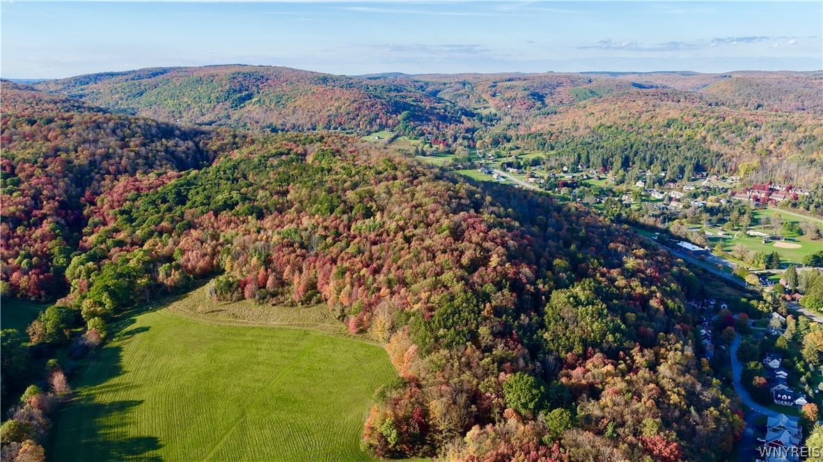 Washington St, Ellicottville, NY 14731