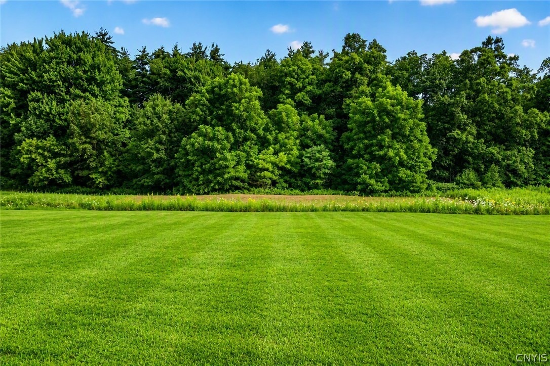 Hollyshire Way, Clay, NY 13041 #1