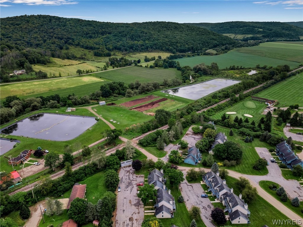 Wildflower , Ellicottville, NY 14731