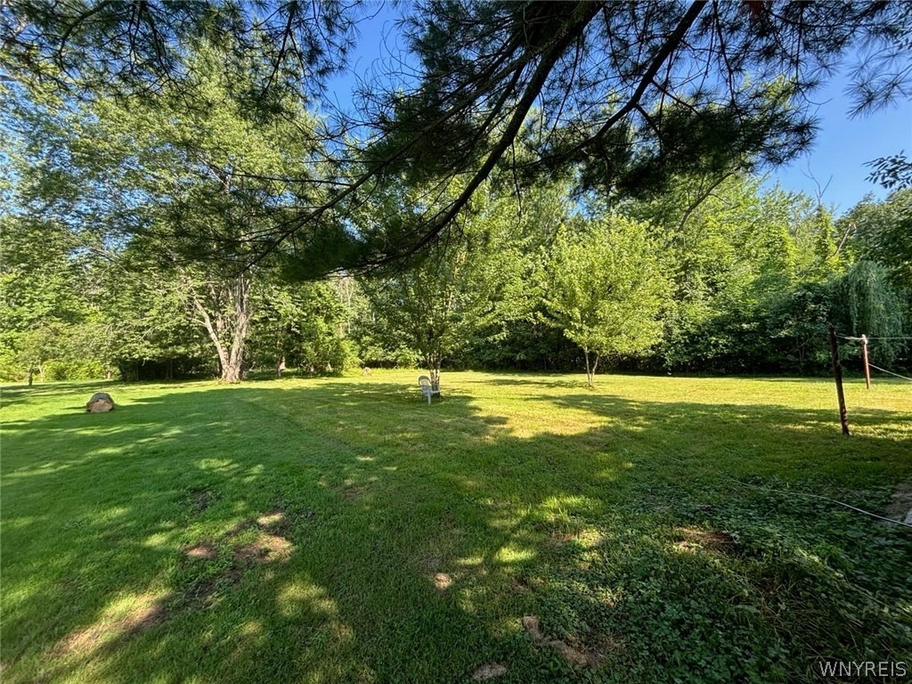 Stony Point Rd, Grand Island, NY 14072 #1