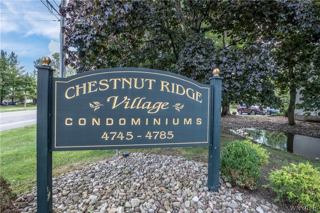 Chestnut Ridge Rd, Buffalo, NY 14228