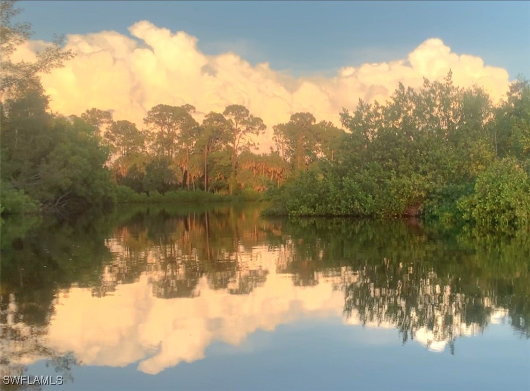New Moon Ct, Naples, FL 34112