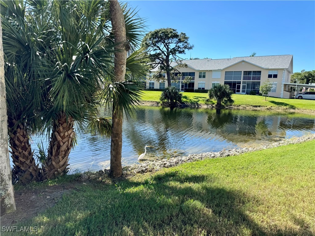 Wiggins Lake Dr, Naples, FL 34110 #1