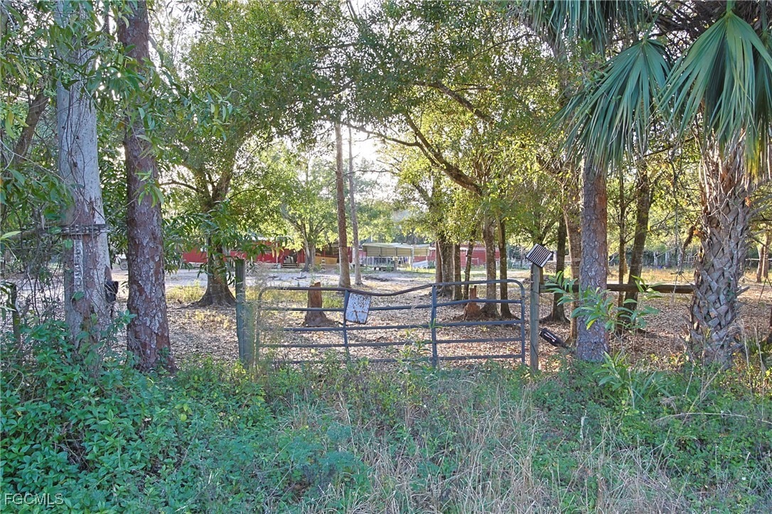 Carmelita Dr, Fort Myers, FL 33905