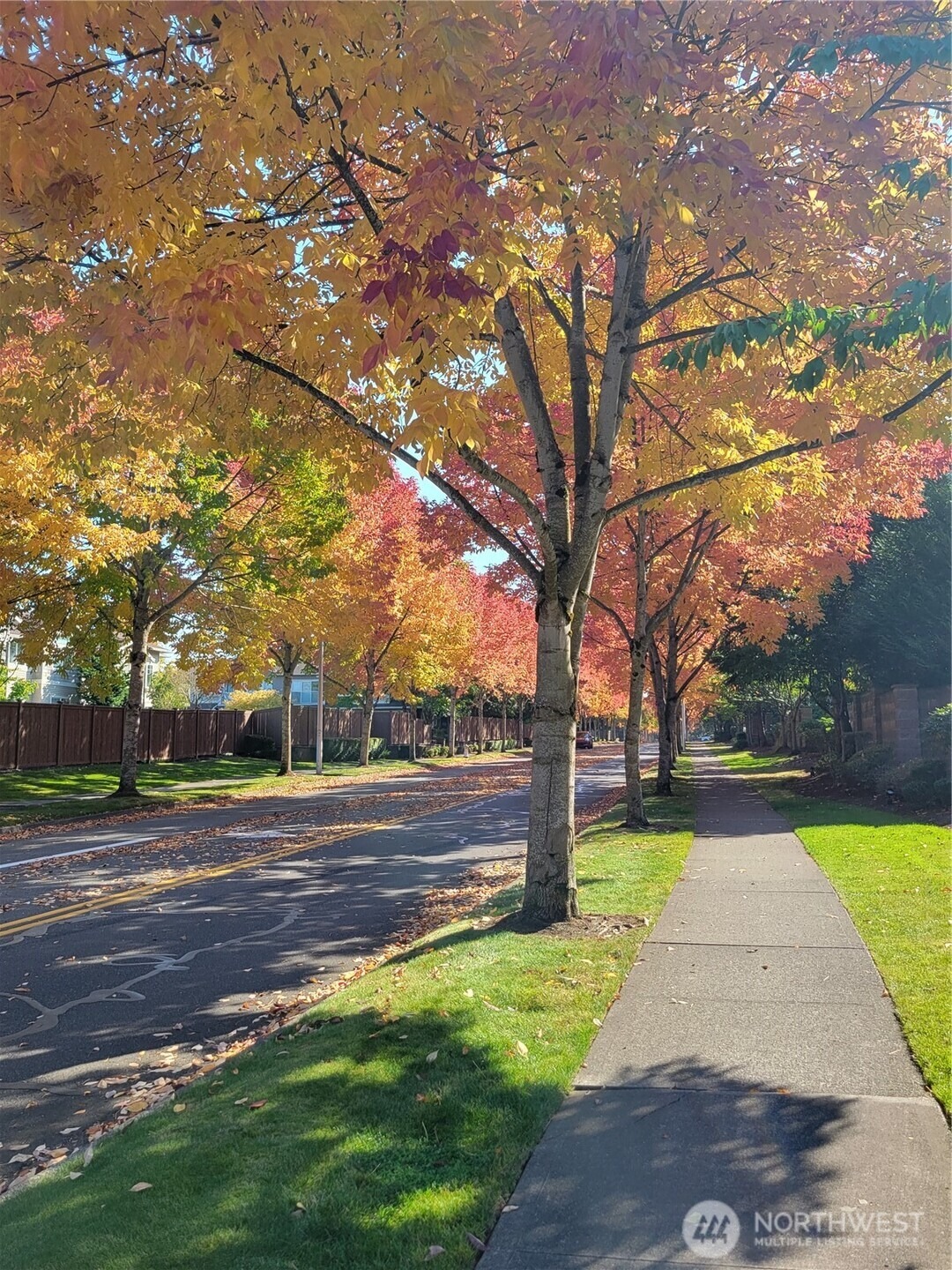 Francis Loop, Auburn, WA 98092