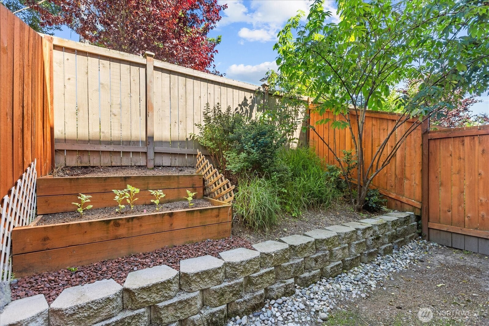 164th St, Lynnwood, WA 98087 #1