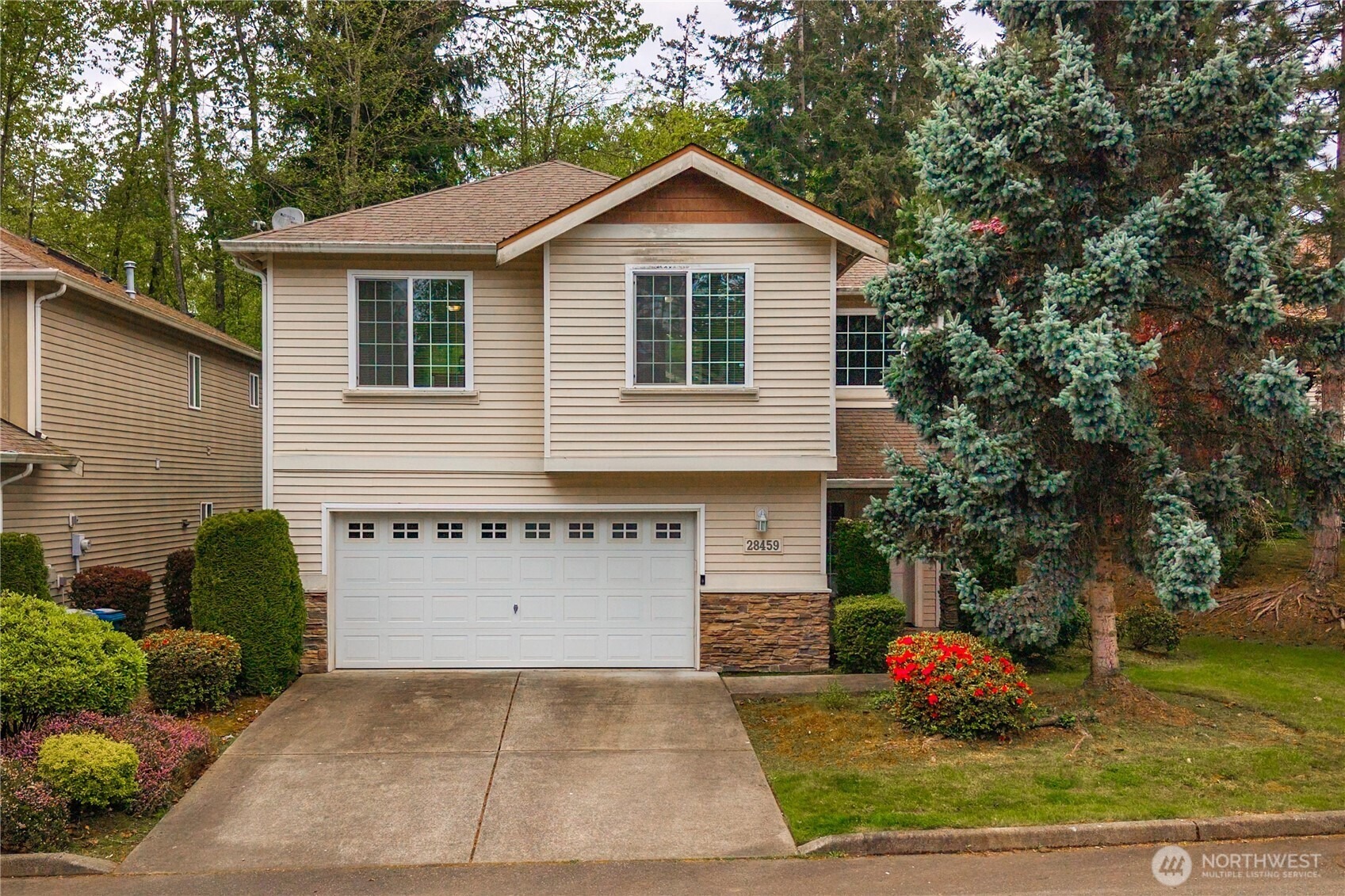 34th Ave, Auburn, WA 98001 #1