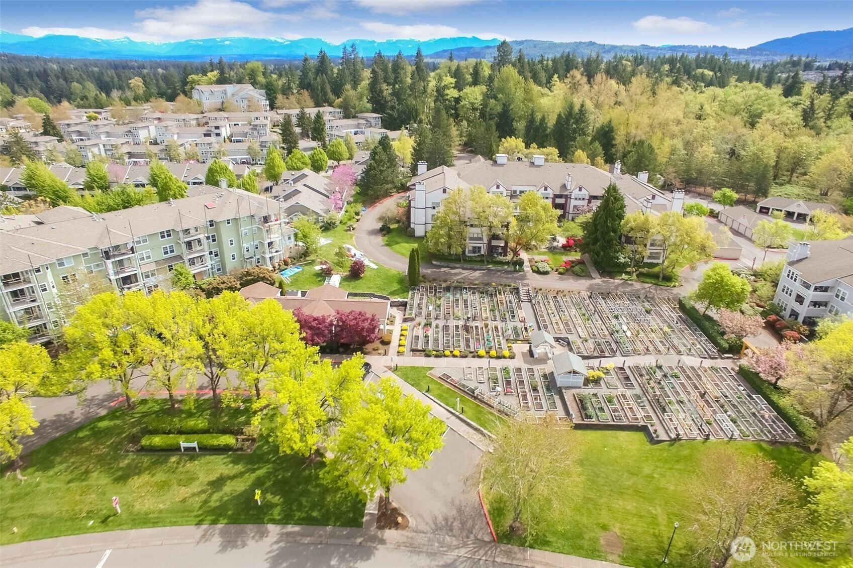 45th St, Issaquah, WA 98029 #1