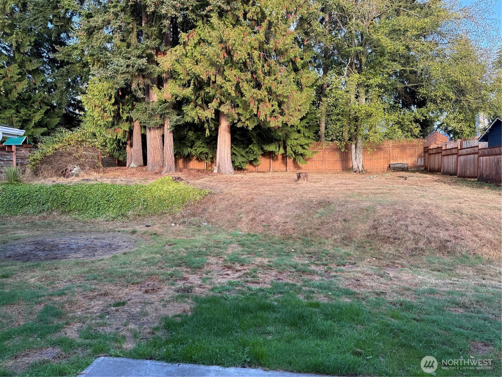 46th Pl, Lynnwood, WA 98037 #1