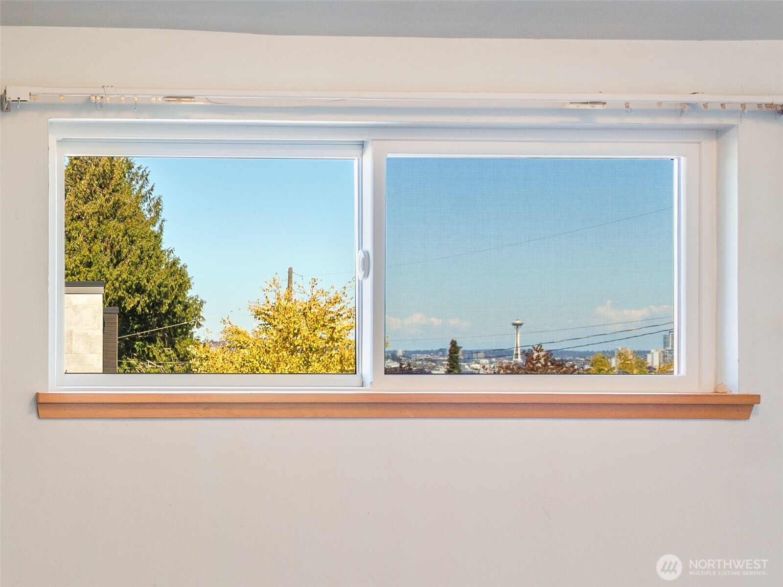 41st Ave, Seattle, WA 98116 #1
