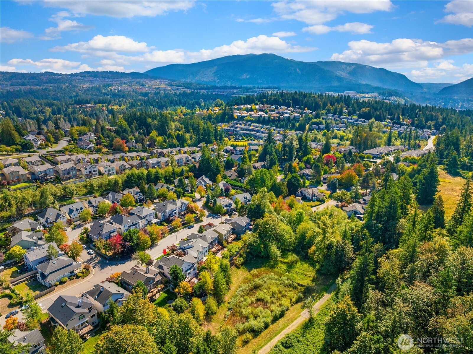 229th Pl, Sammamish, WA 98075 #1