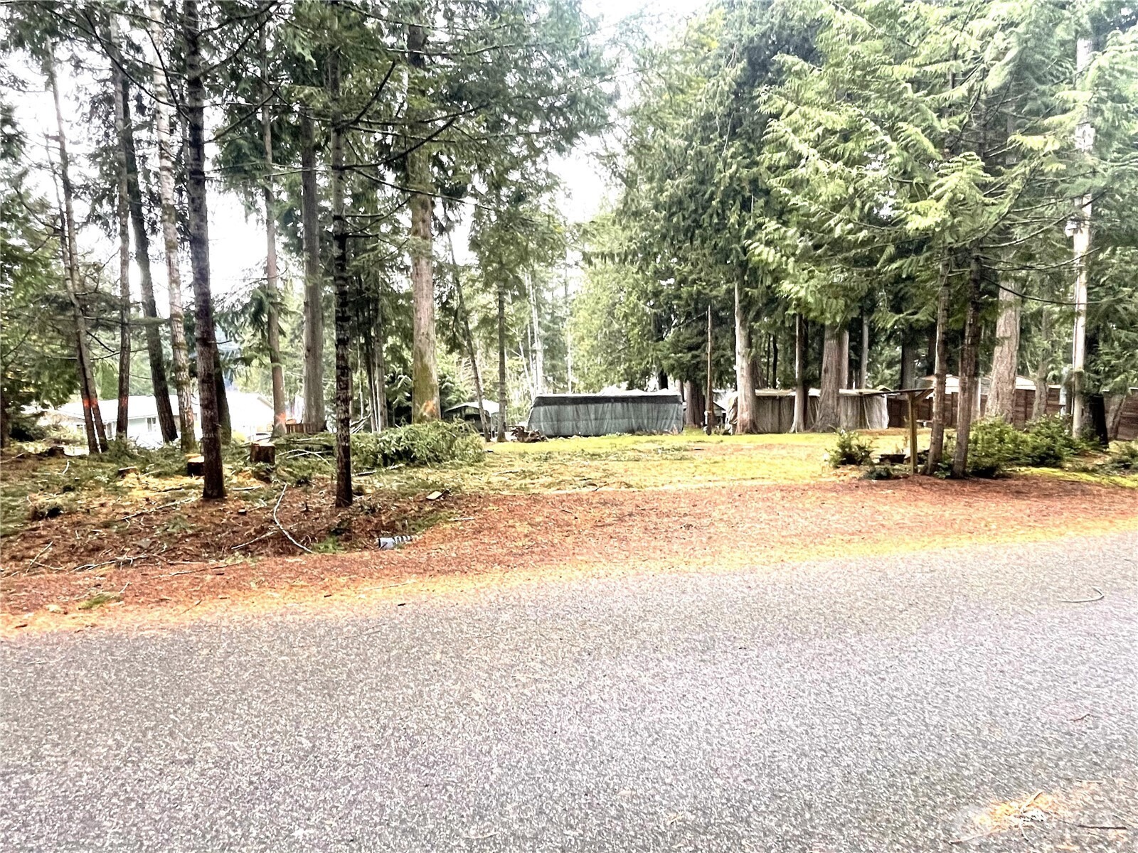Annas Way, Shelton, WA 98584 #1