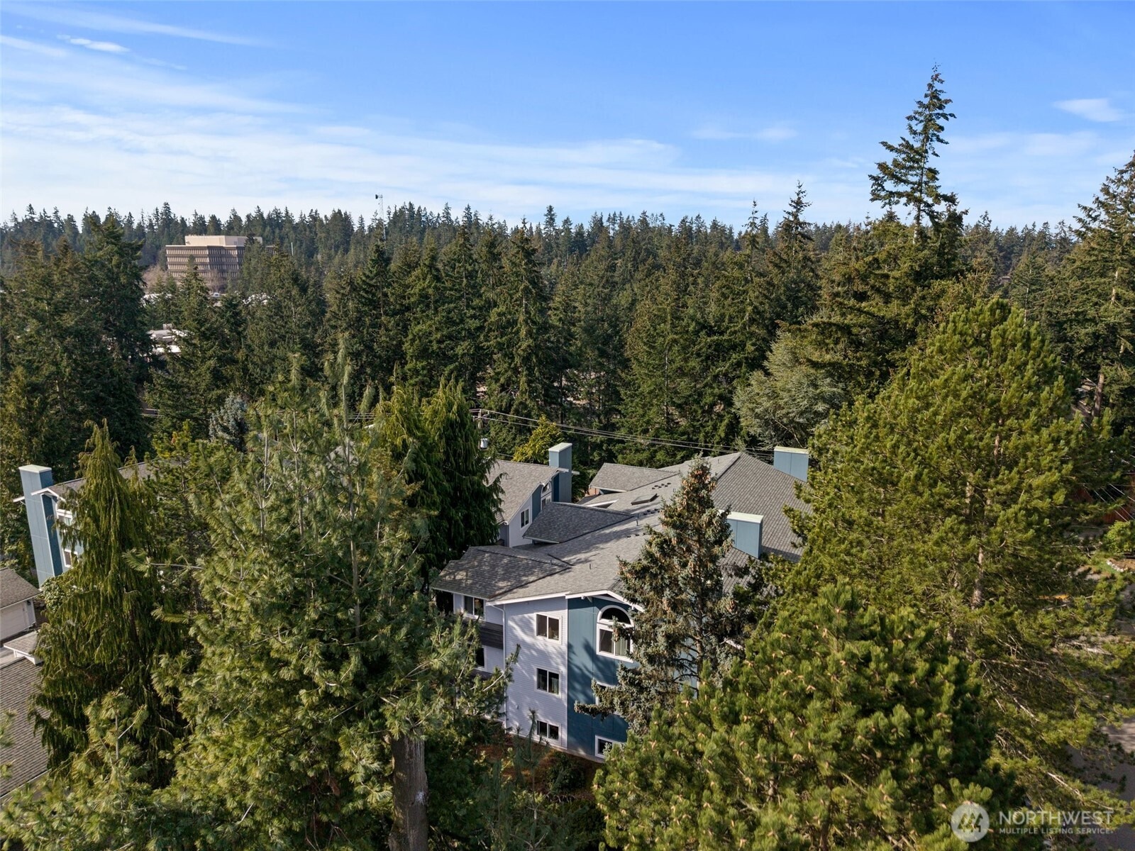 163rd St, Shoreline, WA 98133 #1