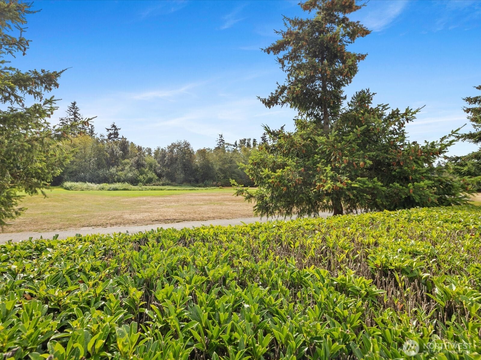 Grove Dr, Mukilteo, WA 98275