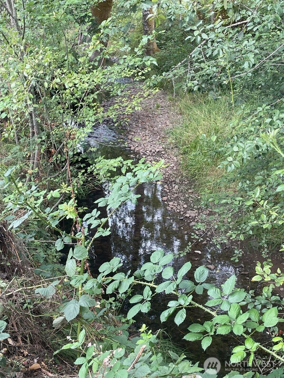 Madison St, Ryderwood, WA 98581