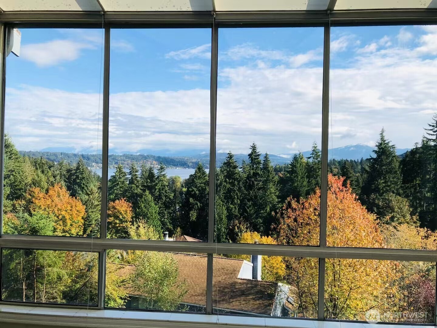 161st Ct, Bellevue, WA 98008
