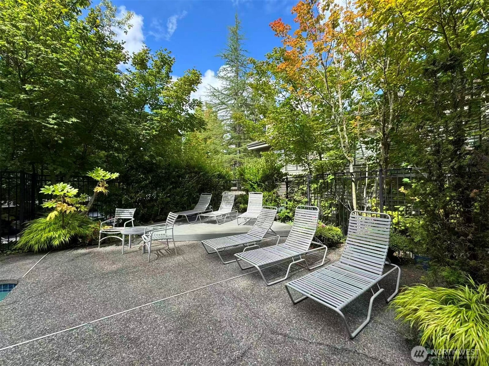 Bellevue Way, Bellevue, WA 98004 #1