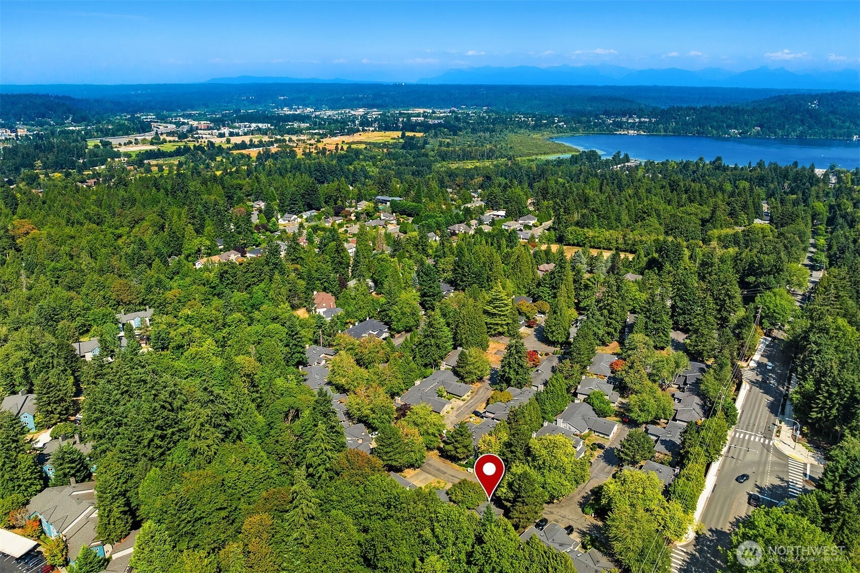 159th Ave, Redmond, WA 98052 #1