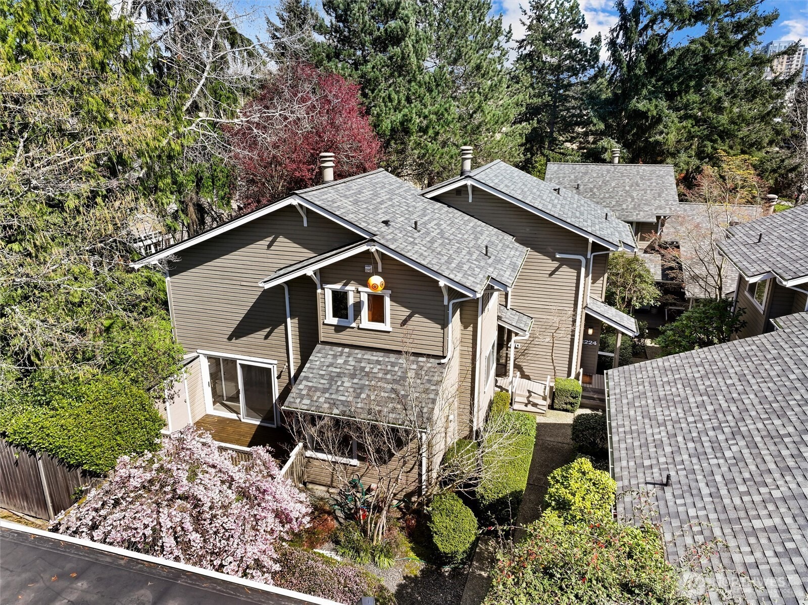 101st Pl, Bellevue, WA 98004 #1
