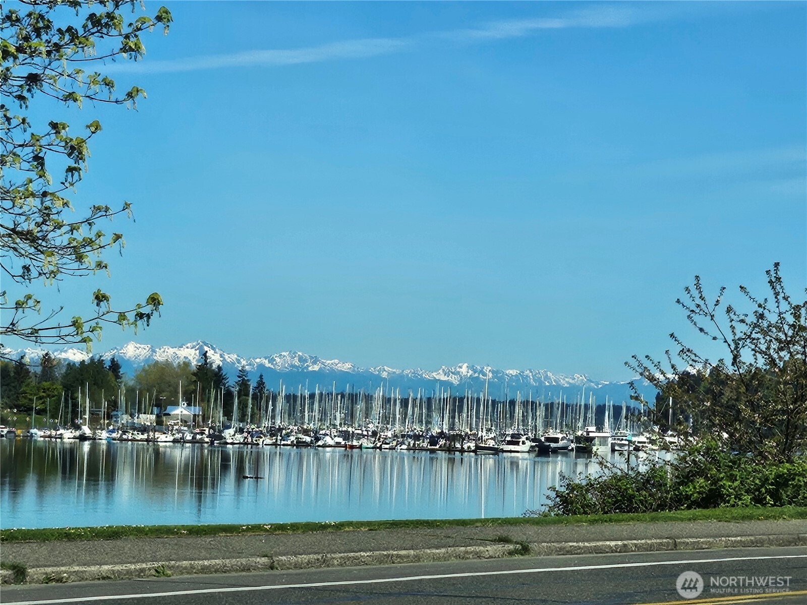 Bay Dr, Olympia, WA 98506 #1