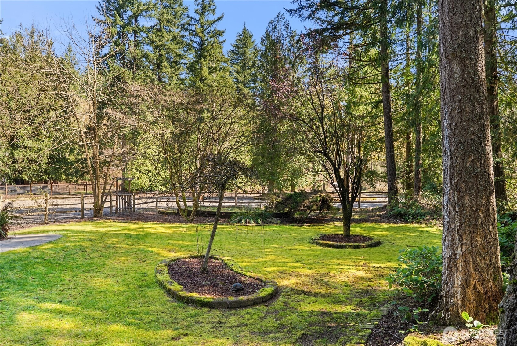 236th St, Maple Valley, WA 98038