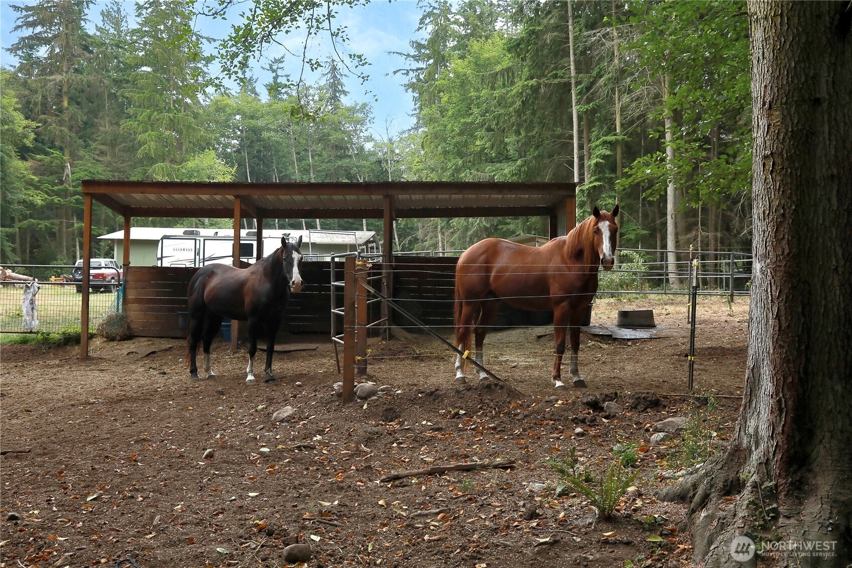 Silver Cloud Ln, Greenbank, WA 98253