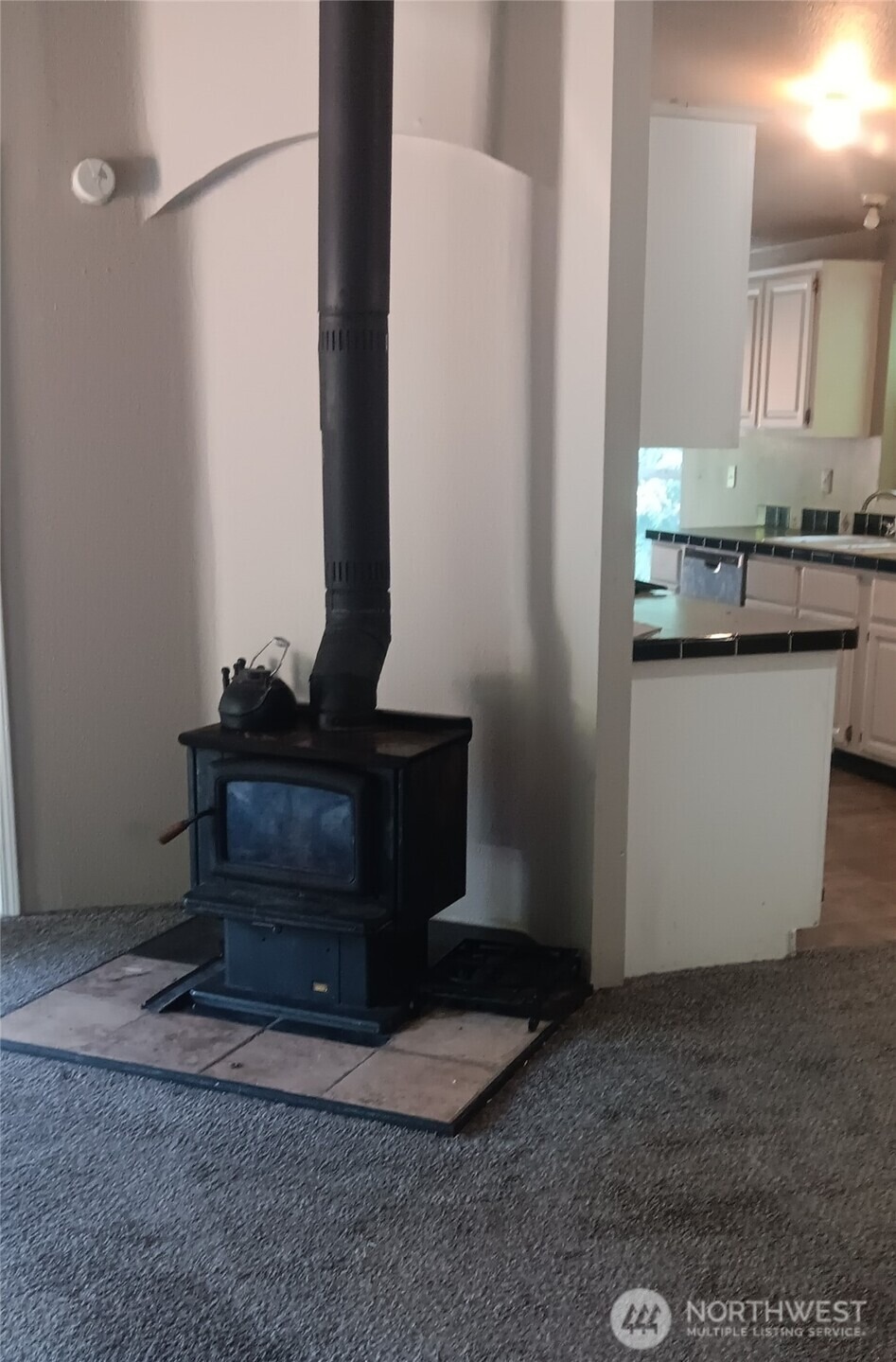 Herron Pl, Shelton, WA 98584 #1
