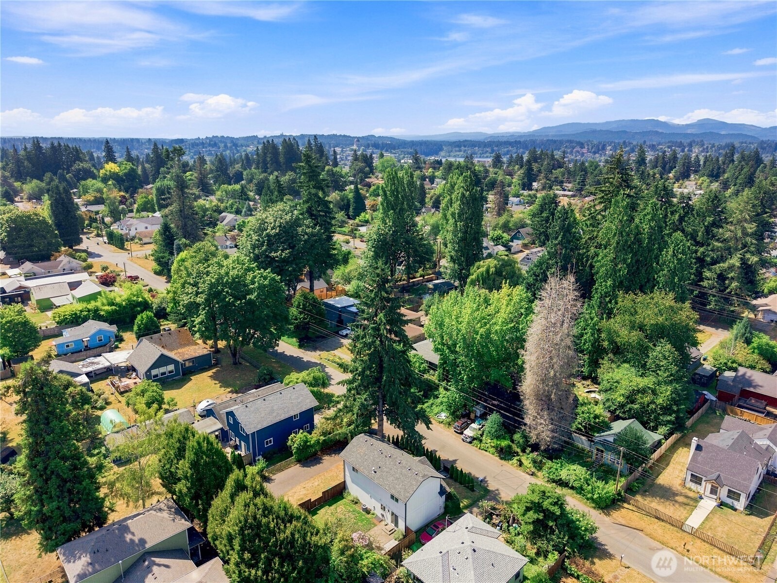Marion St, Olympia, WA 98506 #1