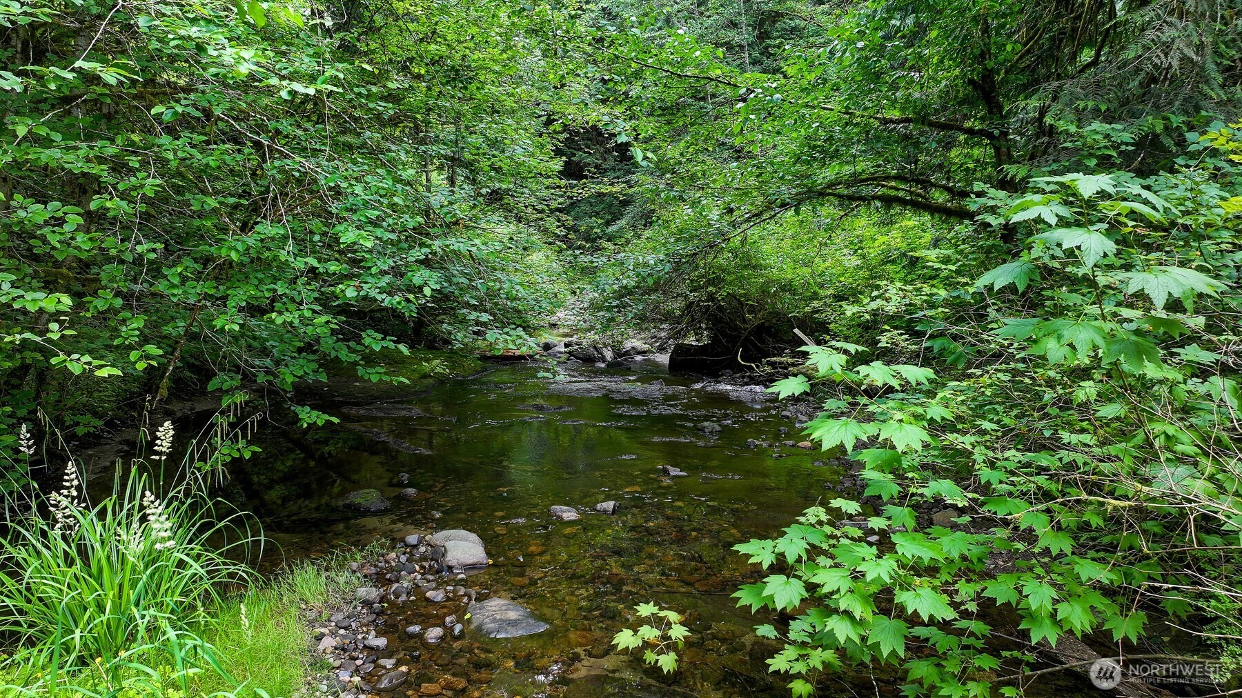Austin Creek Ln, Bellingham, WA 98229