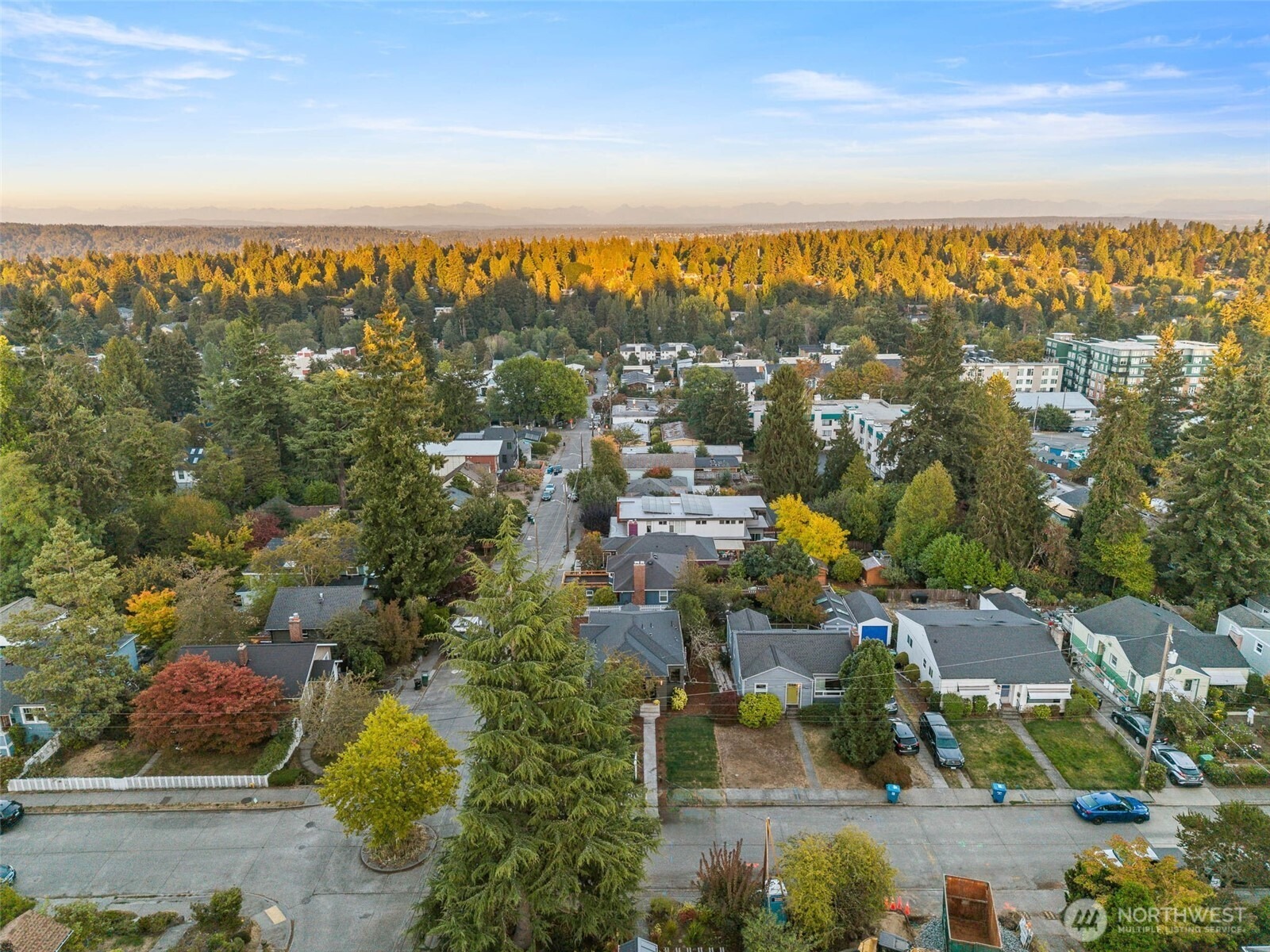 17th Ave, Seattle, WA 98115 #1