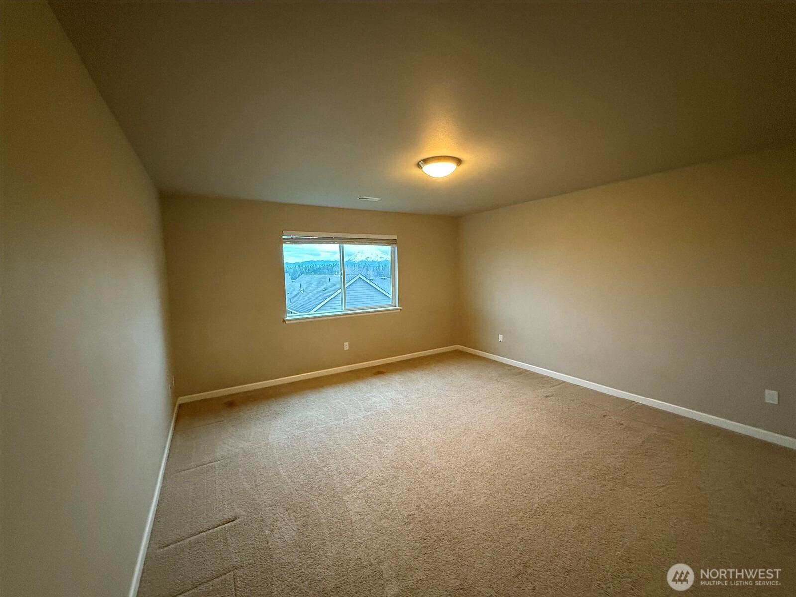 18th Avenue Ct, Spanaway, WA 98387 #1