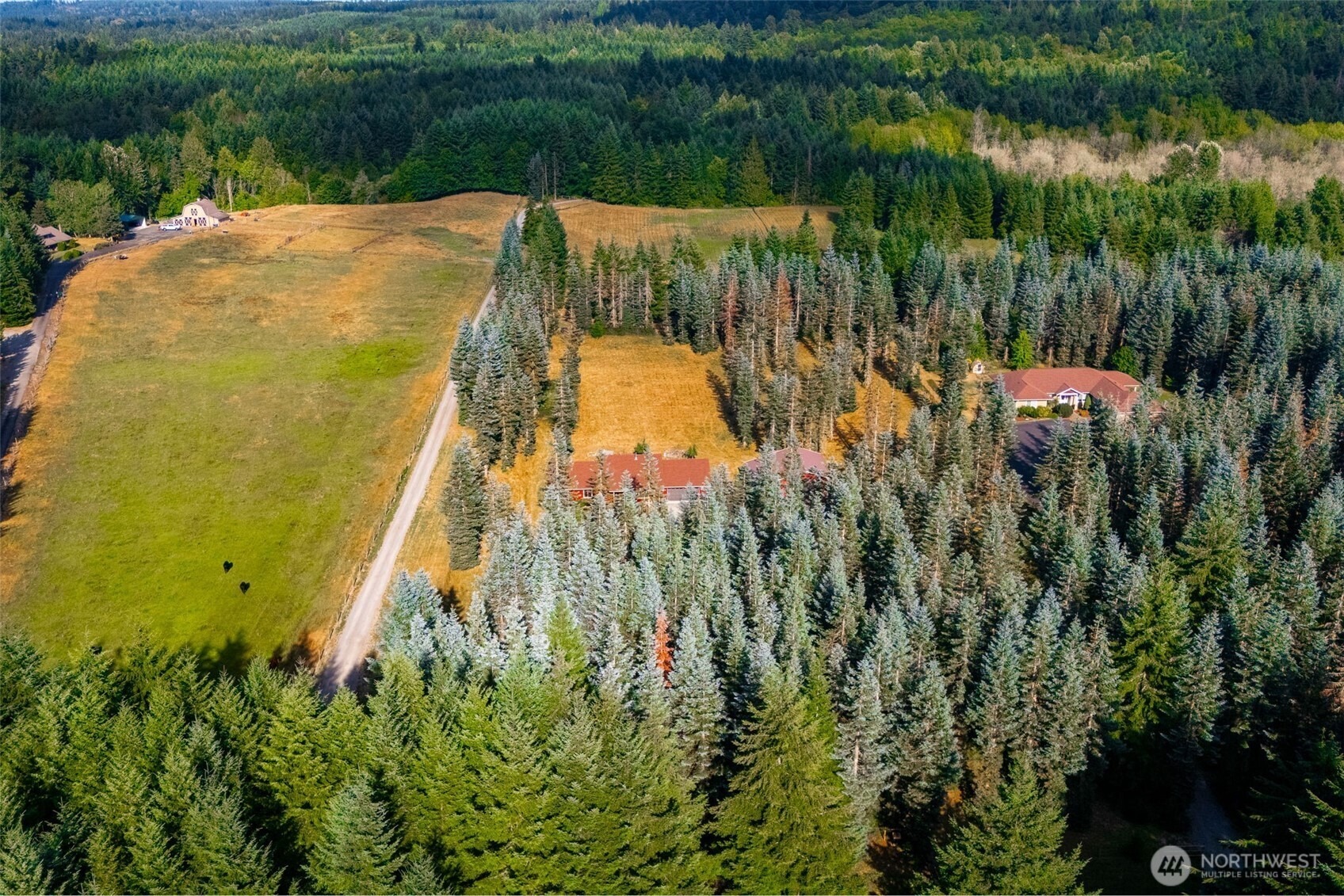 156th Ln, Tenino, WA 98589