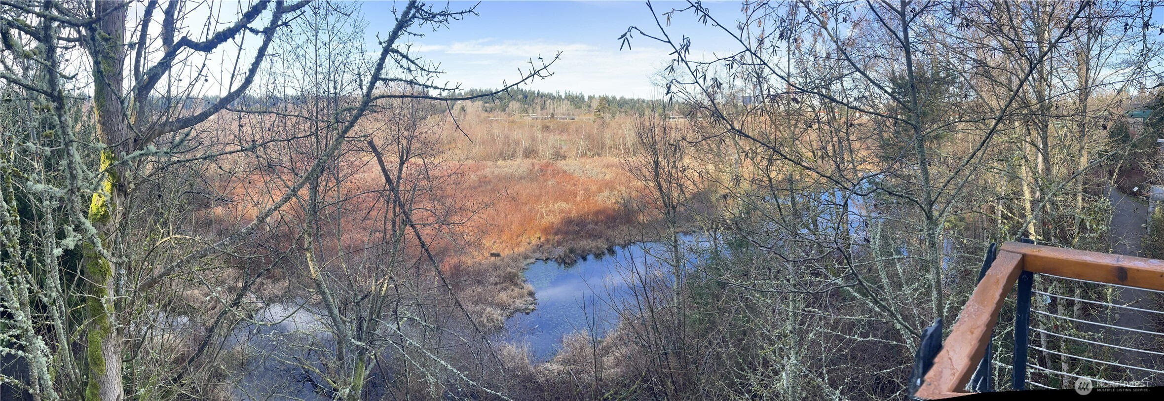 118th Ave, Bellevue, WA 98005