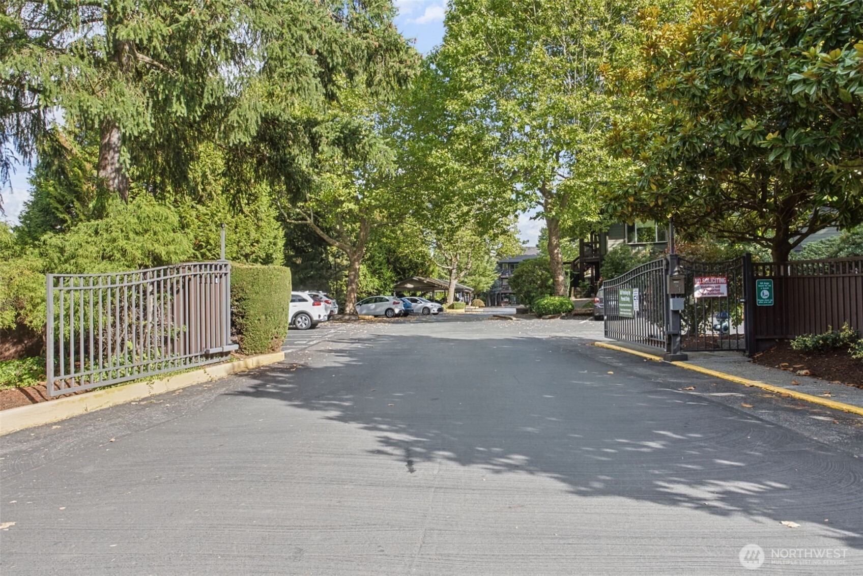 48th Ave, Mountlake Terrace, WA 98043 #1