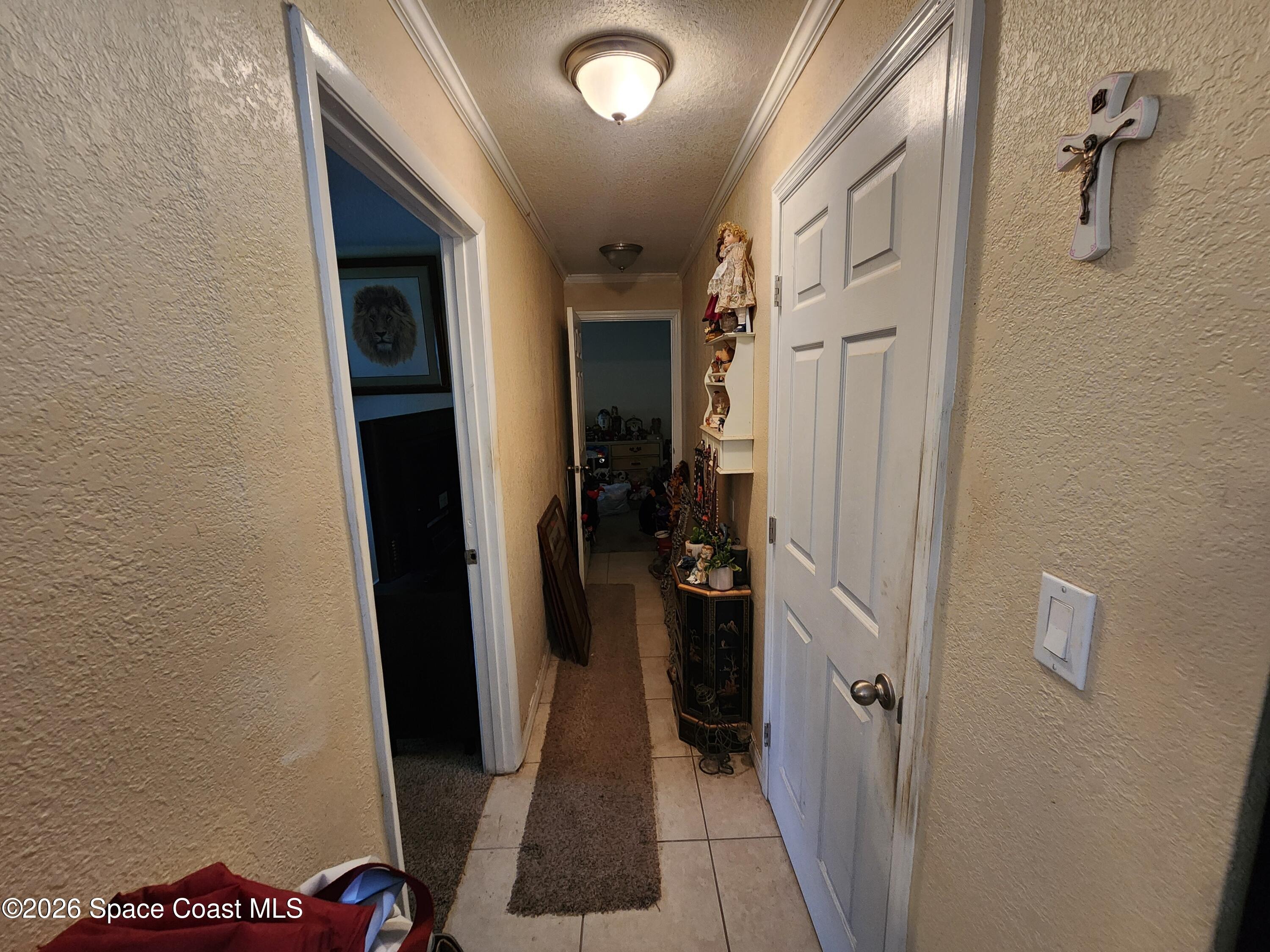 Minnie St, Cocoa, FL 32926 #1