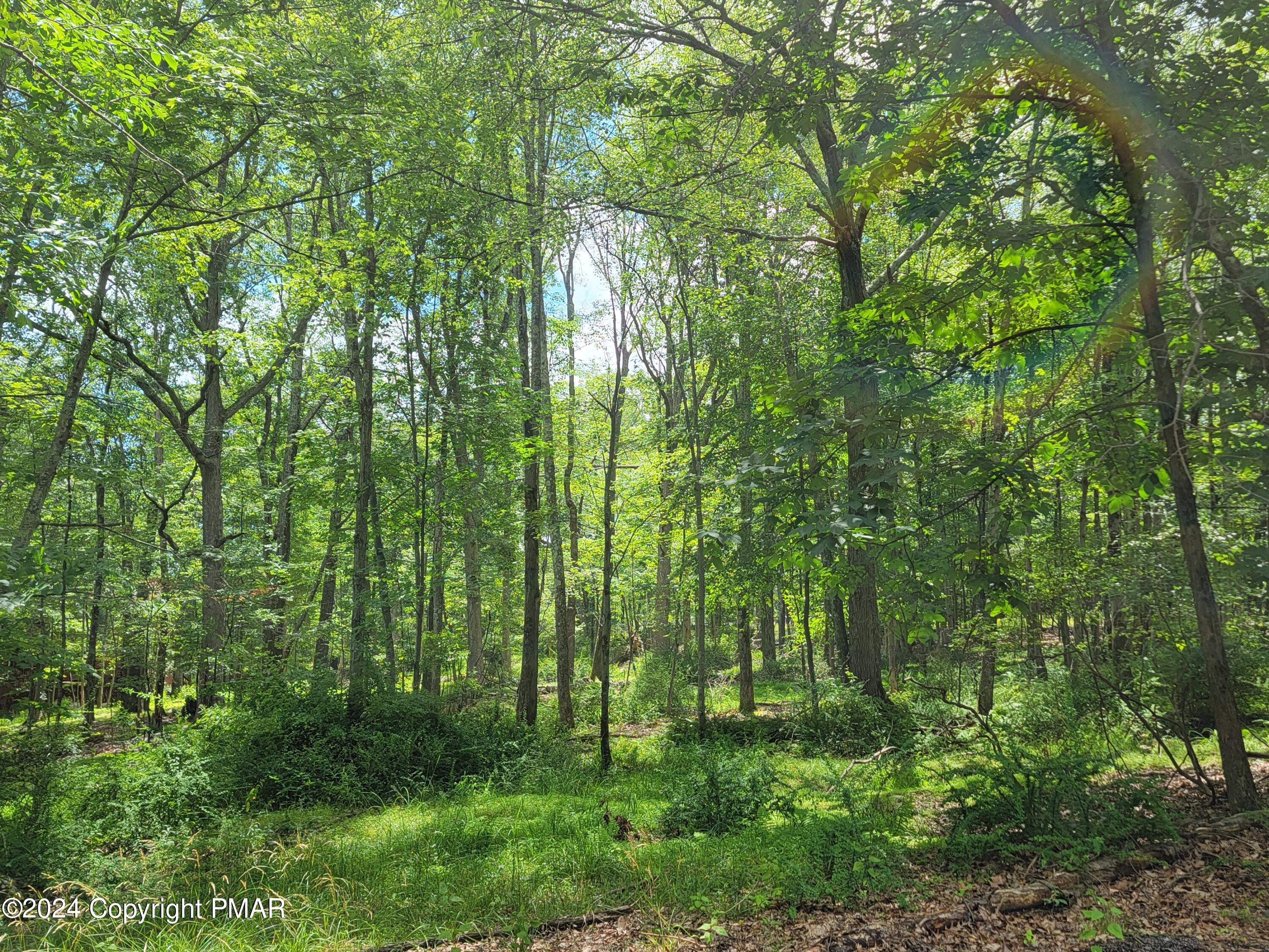 Brent Rd, Bushkill, PA 18324 #1